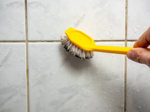 Best Local Mold Removal Service  in Castleton On Hudson, NY
